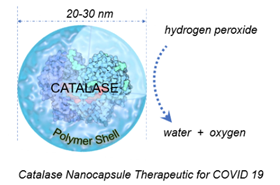 Catalase Nanocapsule Therapeutic for COVID 19