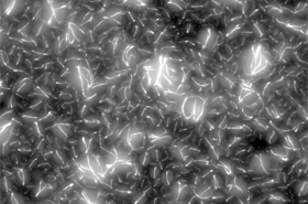 DNA Nanotechnology Creates Dynamic Cytoskeleton for Artificial Cells