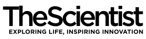 The Scientist 