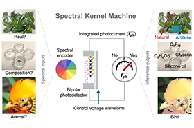 Intelligent Photodetectors that ‘Sniff and Seek’ like Retriever Dogs, Recognize Materials Directly from Light Spectra
