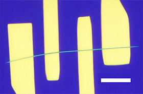 Researchers Discover How to Dampen Electronic Noise in Materials with Potential for Quantum Technologies