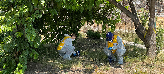 One Year After the LA Fires, UCLA Engineers Advance Fire Mitigation Efforts 