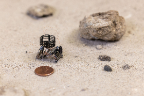 UCLA-developed meta-bots demonstrate their flexibility and abilities to navigate tough terrain and avoid obstacles
