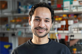 Incoming UCLA Engineering Faculty Member Mohamad Abedi Awarded Michelson Prizes: Next Generation Grant for Cancer Immunotherapy Research
