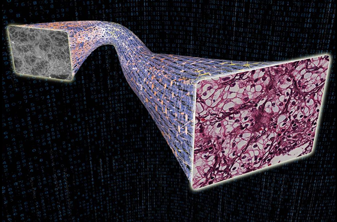 AI Watching AI: Dangerous Errors in Digital Pathology Caught by UCLA System 