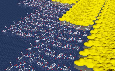 Two-dimensional materials skip the energy barrier by growing one row at a time