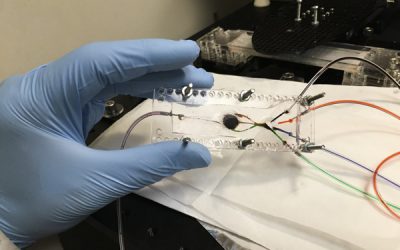 UCLA engineer develops 3D printer that can create complex biological tissues
