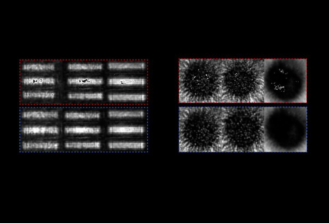 Images created using physics-based machine learning (bottom row) lack artifacts showing up in images from an existing technique for capturing details obscured by complex media (top row).
