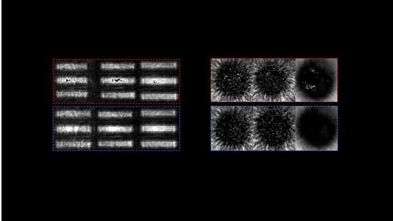 Images created using physics-based machine learning (bottom row) lack artifacts showing up in images from an existing technique for capturing details obscured by complex media (top row). 