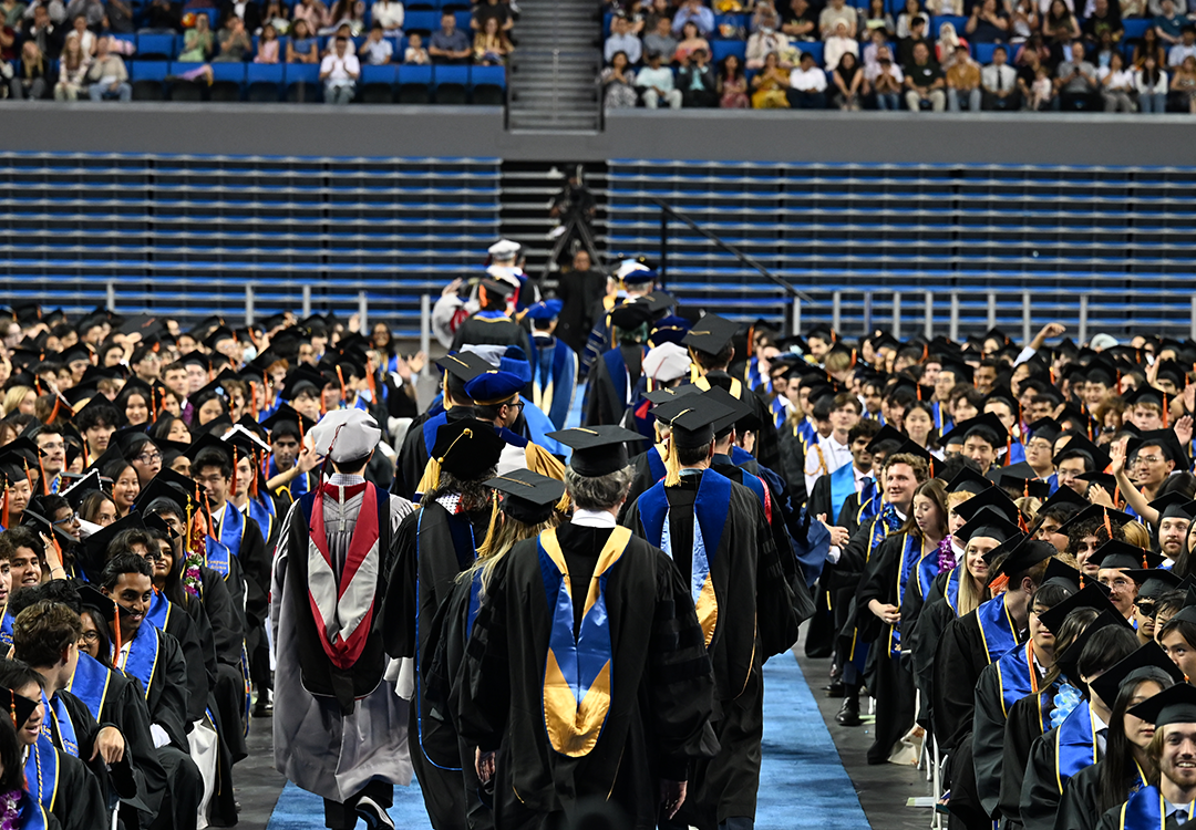 Faculty at Commencement