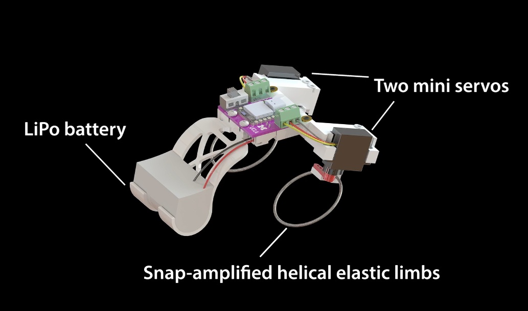 A diagram of the hopping robot. When the<br />
helical elastic limbs at the back are<br />
twisted, they produce a snapping motion,<br />
propelling the robot forward with a hopping<br />
motion reminiscent of a frog.