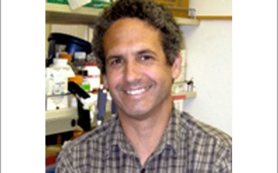Michael Teitell