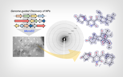 UCLA Chemists and Chemical Engineers Demonstrate Promising Method for Faster Drug Discovery