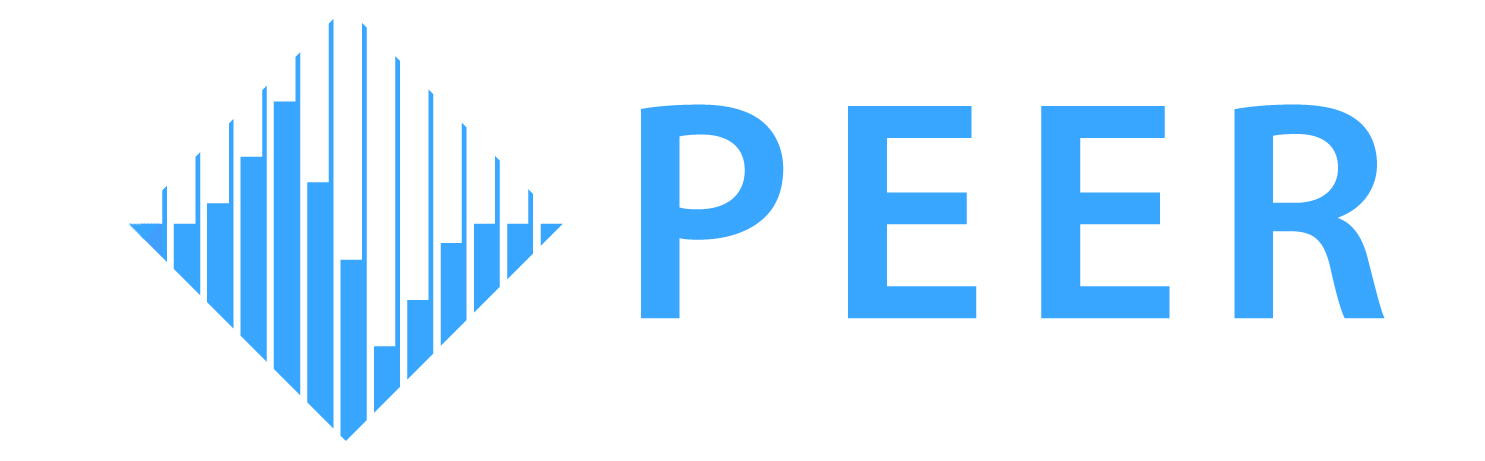 The letters PEER in blue with vertical lines forming a diamond next to it.