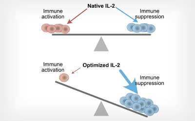 Bioengineers Find Ways to Enhance Potential Drug for Chronic Inflammatory Diseases