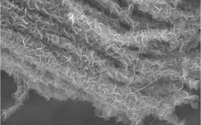Inspired by nature: Design for new electrode could boost supercapacitors’ performance
