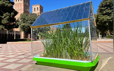 UCLA Engineers Design Solar Roofs to Harvest Energy for Greenhouses