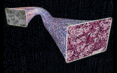 AI Watching AI: Dangerous Errors in Digital Pathology Caught by UCLA System