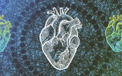 New algorithm more accurately predicts life expectancy after heart failure