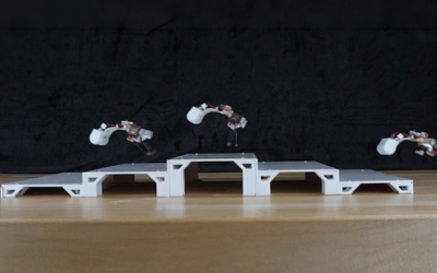 Frog-like Hopping Robot Propelled by Twisting Elastic Rods