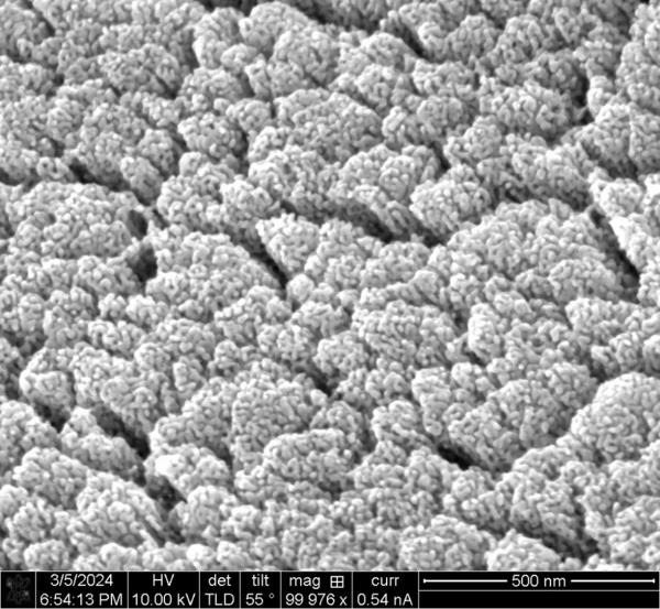 microneedle sensor surface