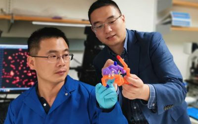 ‘Smart’ insulin could prevent hypoglycemia during diabetes treatment