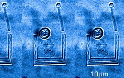 Microscale printable parts, now spring-loaded