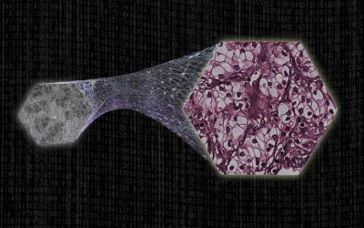 Research Shows Bright Spot for Optical Computing Through Artificial Intelligence