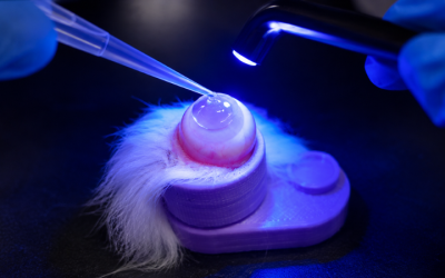 UCLA Engineering Professor Nasim Annabi Receives Nearly $2.5 Million in NIH Funding to Develop Tunable Biomaterials for Corneal Repair and Wound Healing