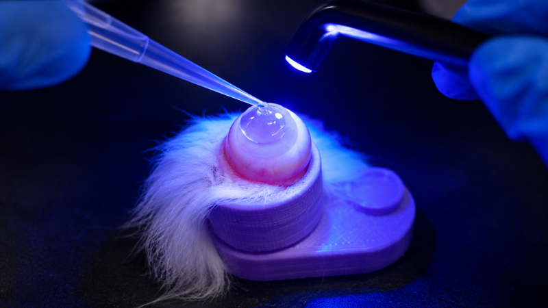 A medical lab experiment working to repair the cornea within the eye.
